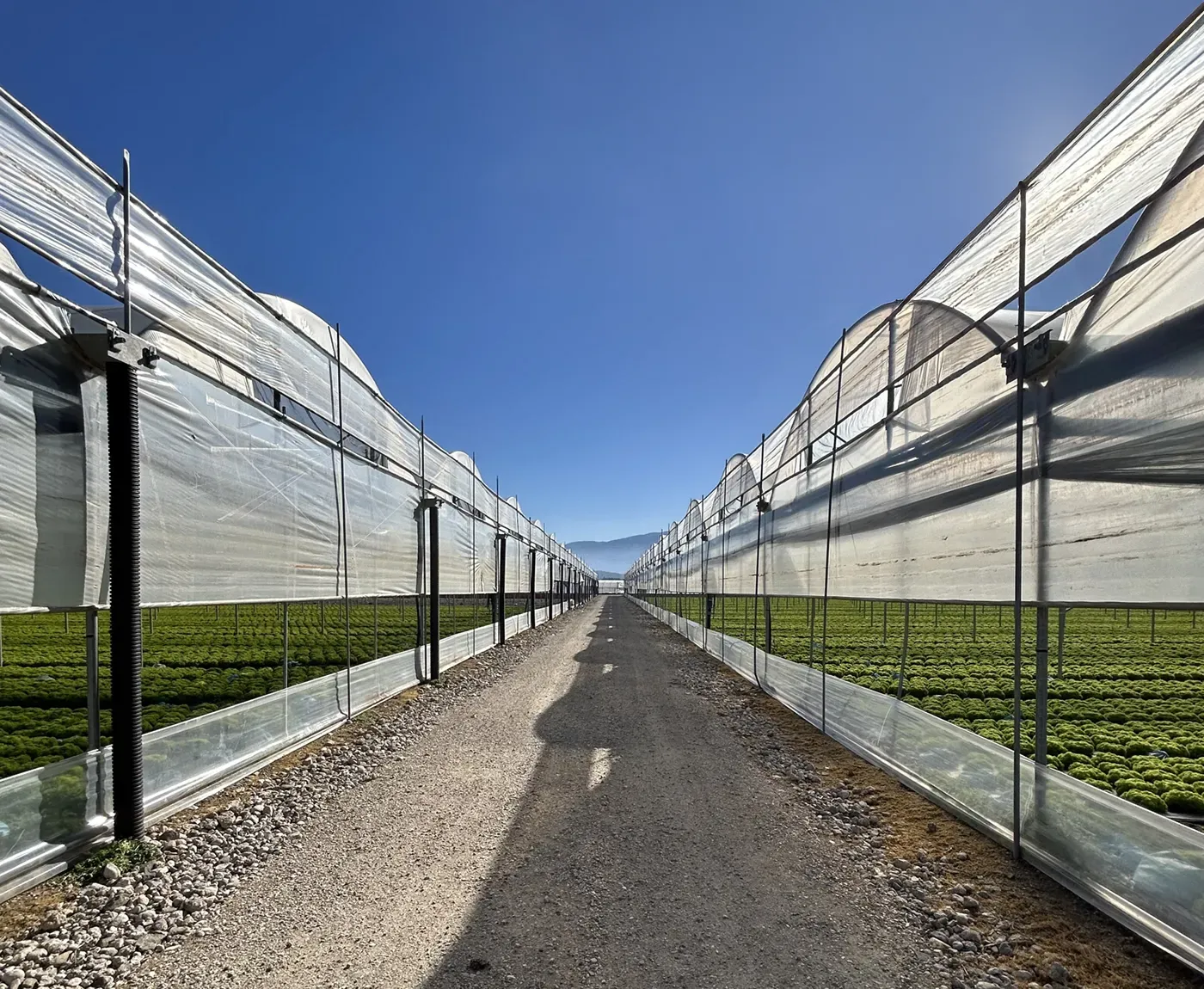 Ecologici E Certificati